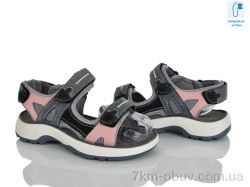 KIMBOO T65-3F фото