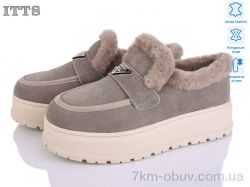 ITTS H2023-21 фото