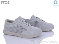 ITTS P04-3 фото