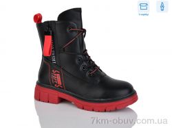 SANLIN 61-6-4207DY фото