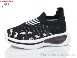 GFB-Канарейка Z6031-1 фото