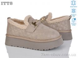 ITTS F256-5 фото