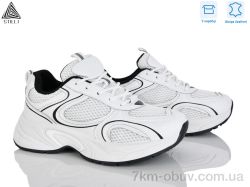 STILLI Group T10-4 шкіра фото