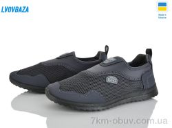 Lvovbaza 2901-1 сірий фото