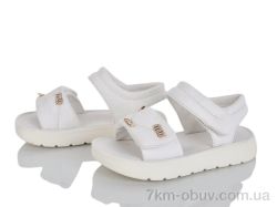 KIMBOO XD617-2C фото