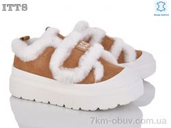 ITTS KT91-20 фото