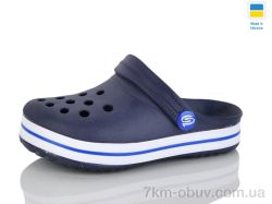 Progress Прогрес Д309 синій фото