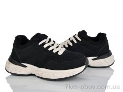 AAPR-Kaker CE21-1 фото