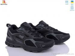 ROYYNA 040DB-43 фото