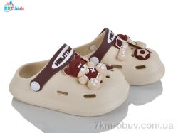 BBT A9173-2-2 фото