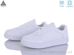 STILLI Group R50-1 шкіра фото