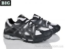 BIG A9136-2 фото