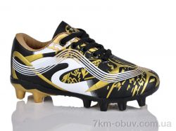 ASHIGULI C06-1 фото