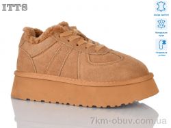 ITTS 001-1 camel фото