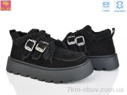 PLPS 2801-2 фото