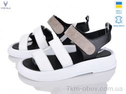 Viscala 23212-3T б.ш.+кор.з. фото