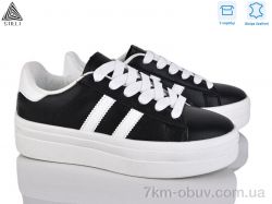 STILLI Group WA50-4 шкіра фото