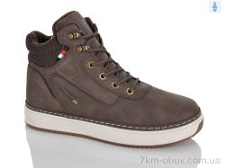 DINO ALBAT 9-789 brown фото