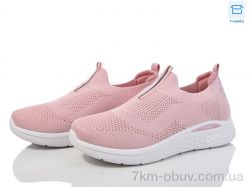 Moli L38-4 піна фото