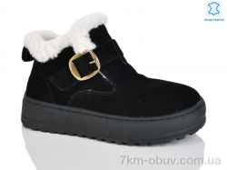 Teetspace-Trasta-Egga WMP1097-1 фото