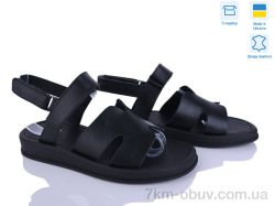 Ailinda 446-2 фото