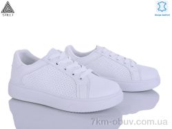 STILLI Group R60-1 шкіра фото