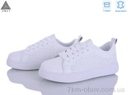 STILLI Group R140 шкіра фото