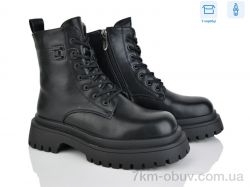 Мир 4205-G6038 фото