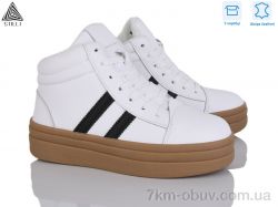 STILLI Group WA180-4 шкіра фото