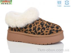 HENGJI-ELENA T63-2 фото