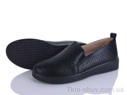 Lion-Lu 2024-34 фото