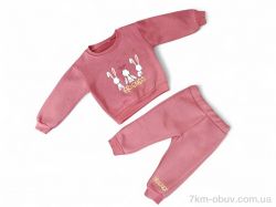 Kids-modnik 3453 цегляний реглан-штани фото