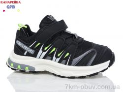 GFB-Канарейка X8005-2 фото