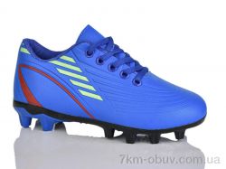 ASHIGULI C25-3 (31-36) фото