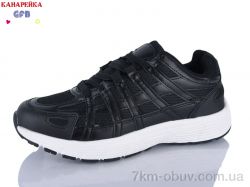 GFB-Канарейка Q522-2 фото