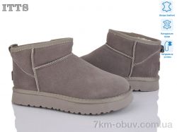 ITTS S9960-21 фото