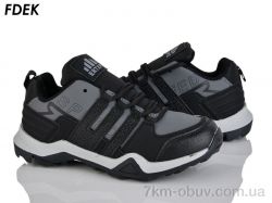 FDEK H9251-1 фото
