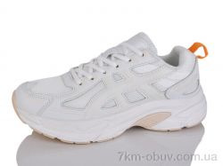 Moli B8012-6 фото