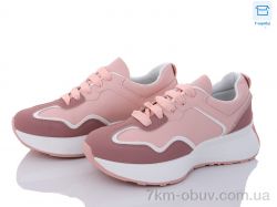 Svit XM10-23 фото