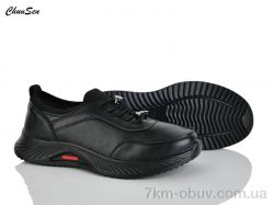 Chunsen B24-1 фото