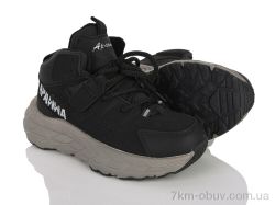 Clibee-ShoSho T6506R-1 black фото