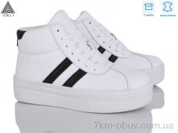 STILLI Group WA160-6 шкіра фото