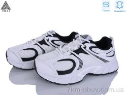 STILLI Group NK100-1 шкіра фото