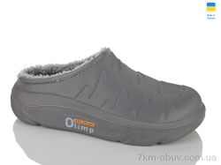 Lot Shoes СМ22 сірий фото