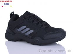 GFB-Канарейка R310-1 фото