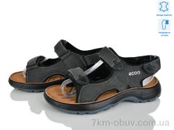 KIMBOO T61-4D фото