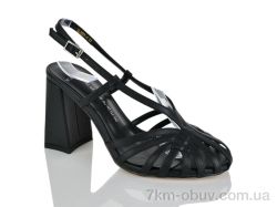 Teetspace-Trasta-Egga LL1977-1 фото