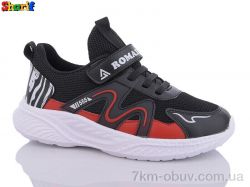 Sharif AA3006-23 фото