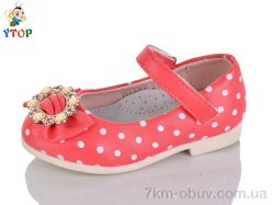 Y.Top WL622-2 фото
