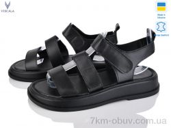 Viscala 24212 ч.ш. фото